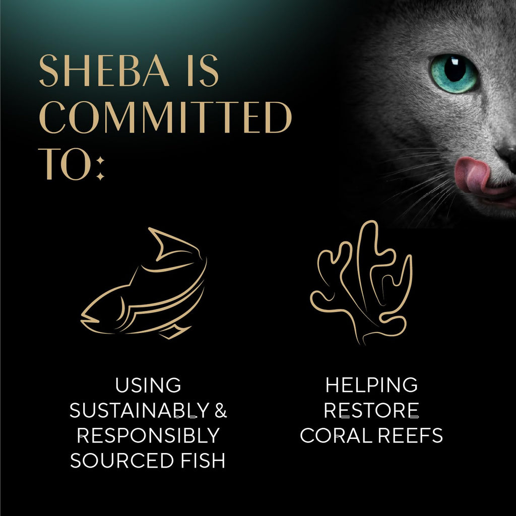Sheba Perfect Portions Pate Wet Cat Food, Multipack, 2.6 oz, 36 ct