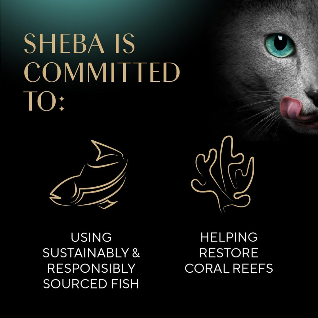 Sheba Perfect Portions Pate Wet Cat Food, Multipack, 2.6 oz, 36 ct