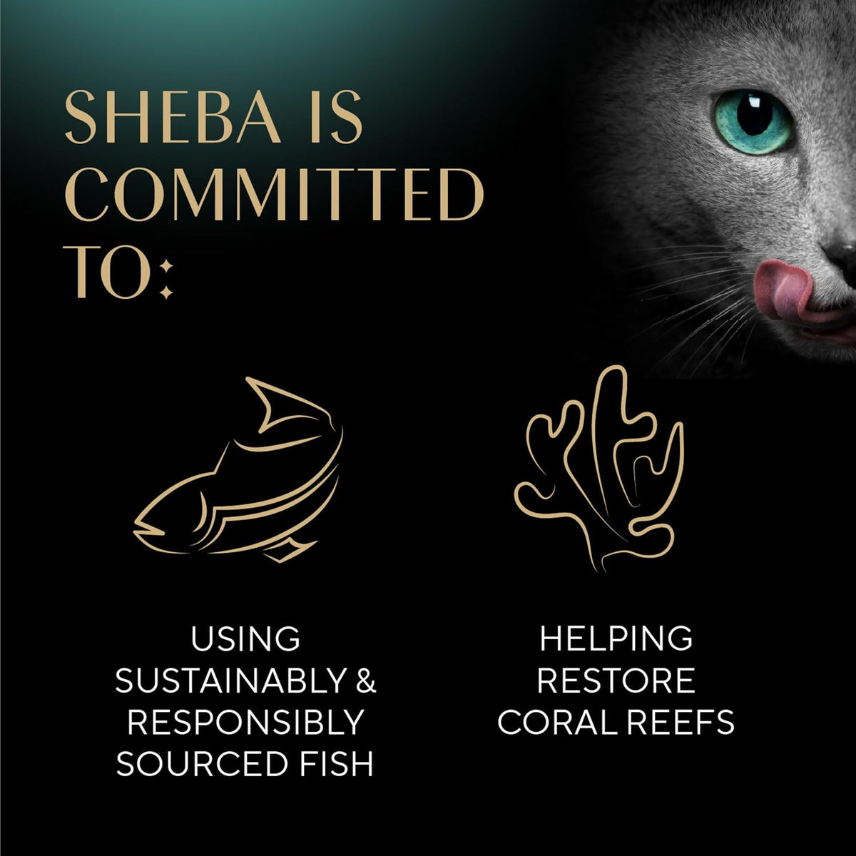 Sheba Perfect Portions Pate Wet Cat Food, Multipack, 2.6 oz, 36 ct