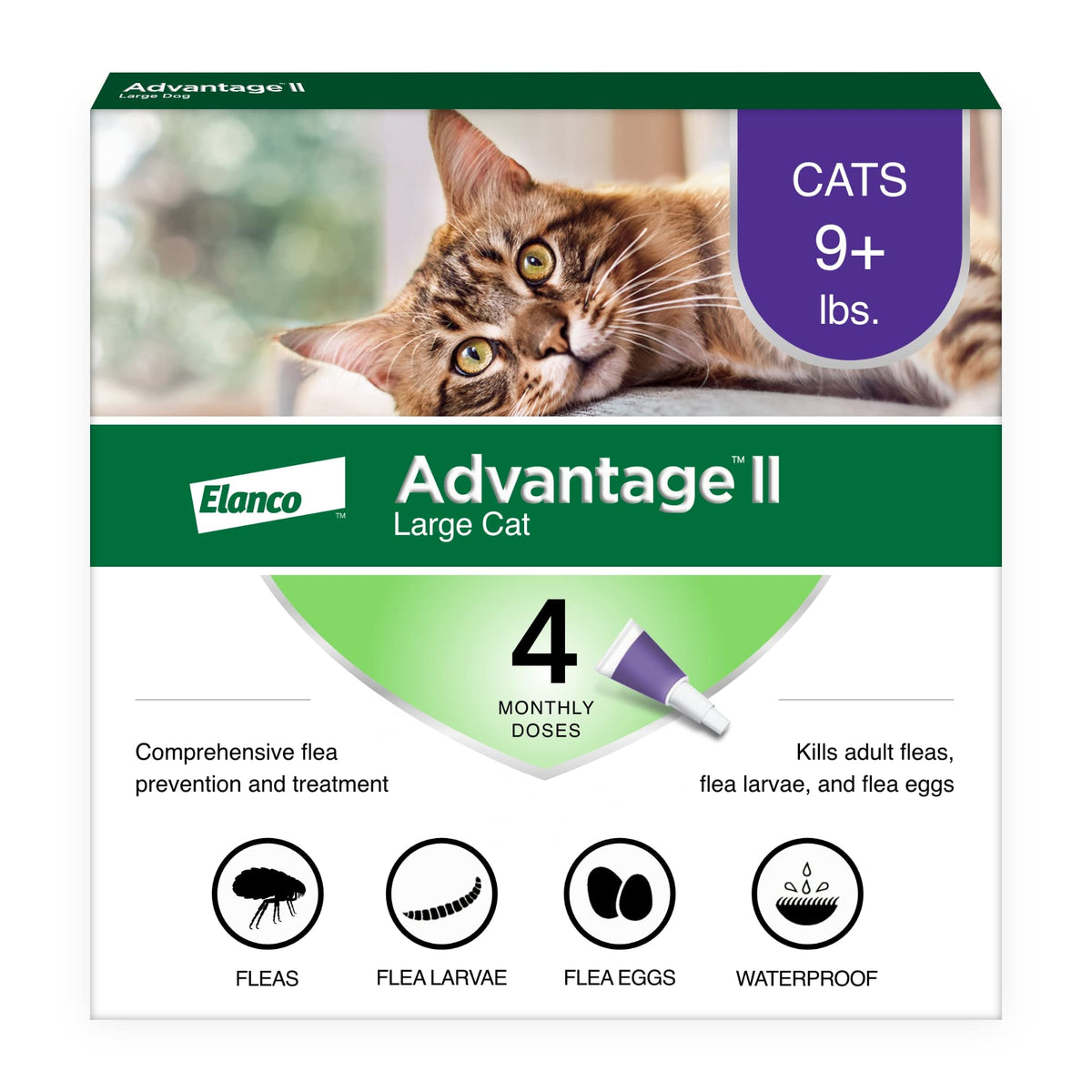 Advantage II Large Cat Topical Flea Treatment & Prevention, 2ct