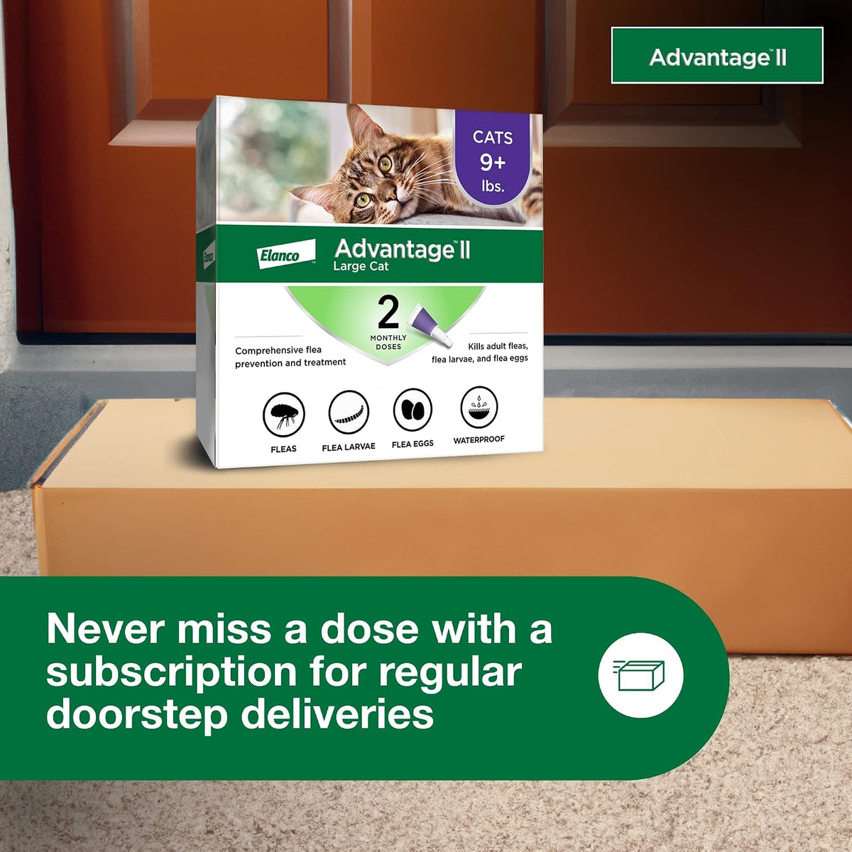 Advantage II Large Cat Topical Flea Treatment & Prevention, 2ct